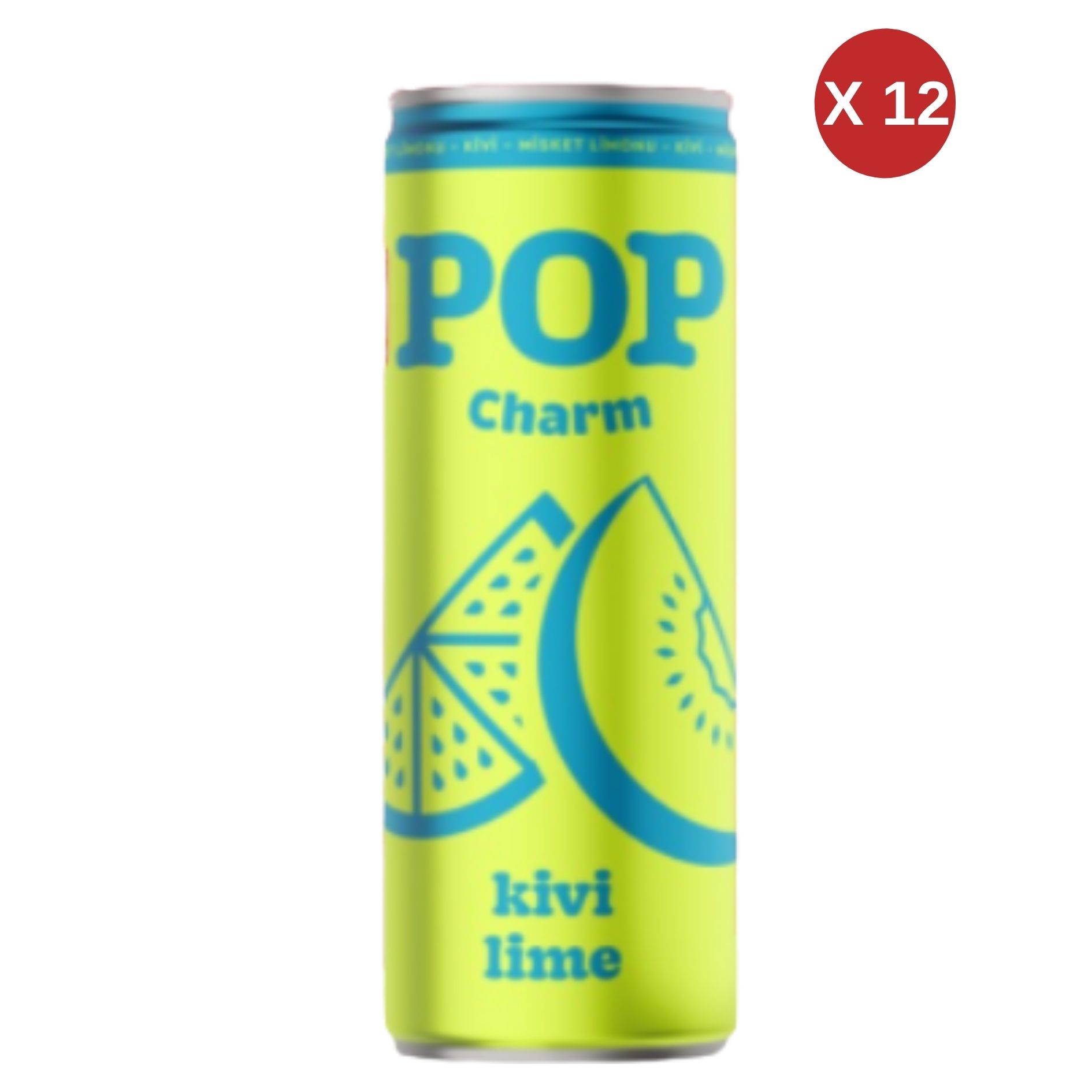 DİMES KİVİ LİME İÇECEĞİ  250 ML 12 ADET