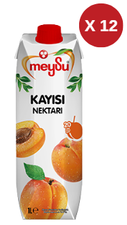 MEYSU KAYISI NEKTAR 1/1 12 ADET